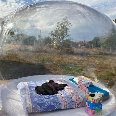 Caravans 10 Min To Tsonevo Lake & 35 Min To Black Sea Exterior photo