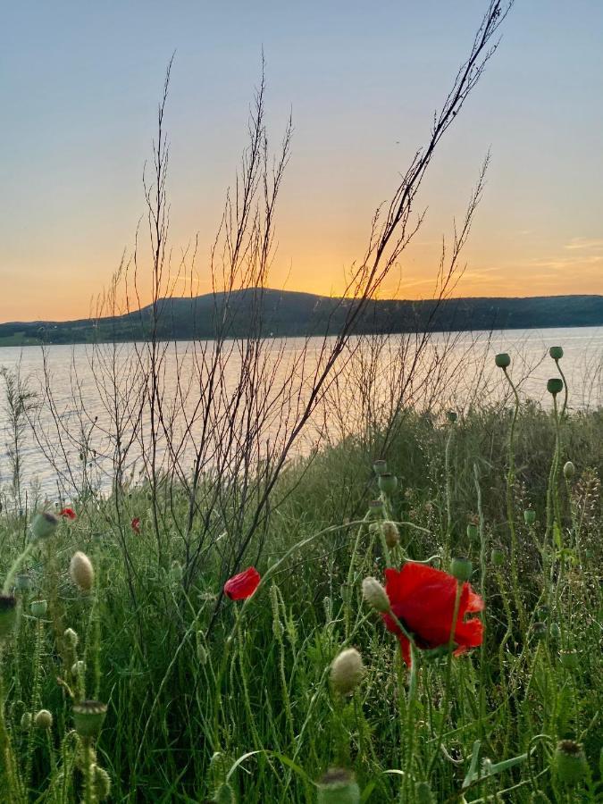 Caravans 10 Min To Tsonevo Lake & 35 Min To Black Sea Exterior photo