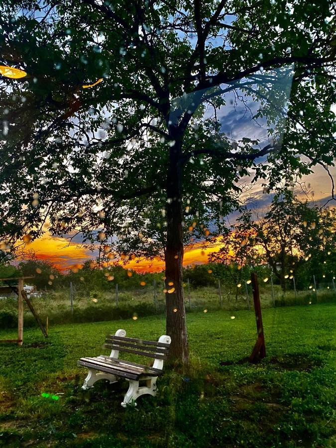 Caravans 10 Min To Tsonevo Lake & 35 Min To Black Sea Exterior photo